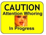 attention_whore-300x231